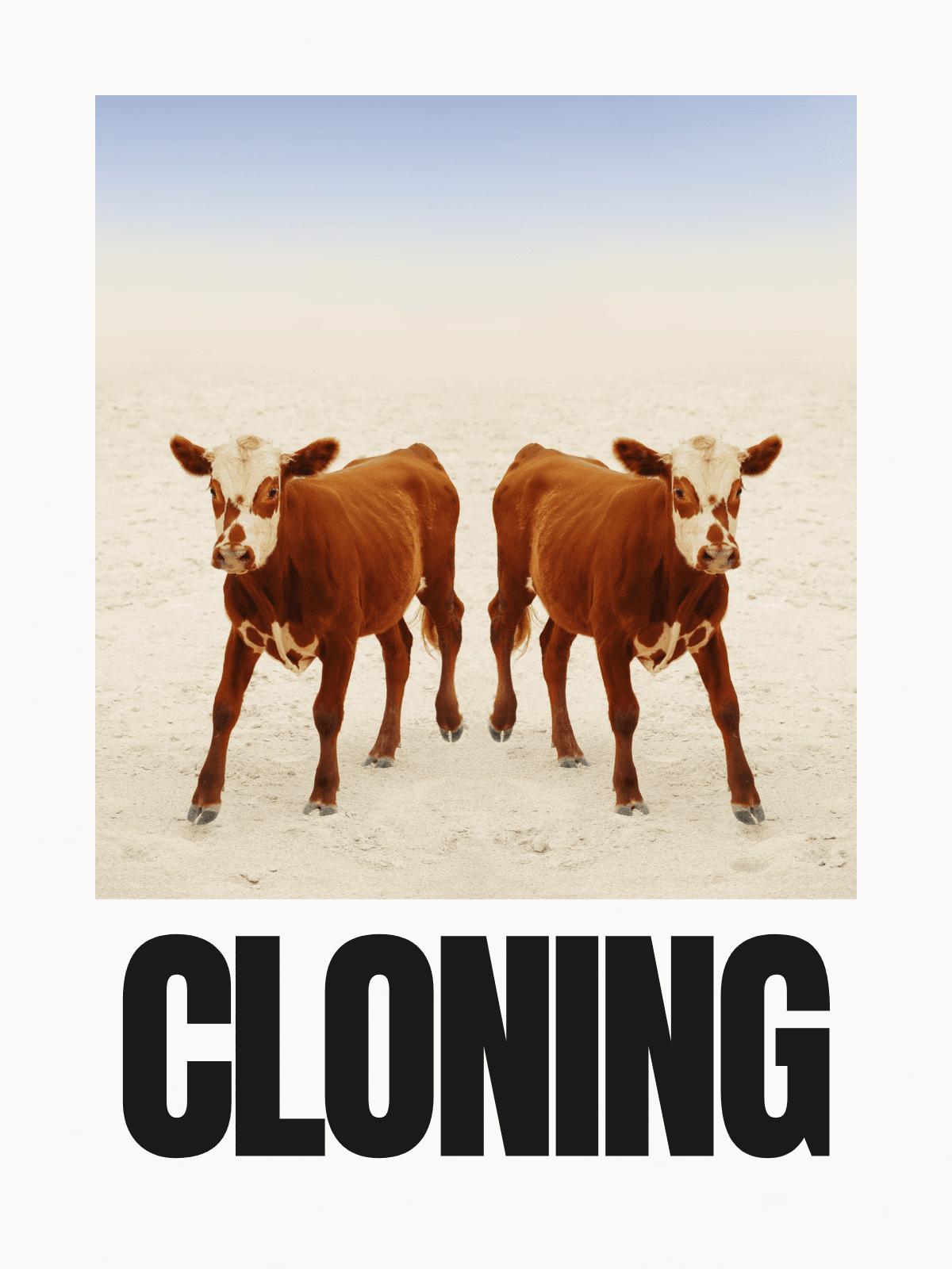 All The Answers: Cloning