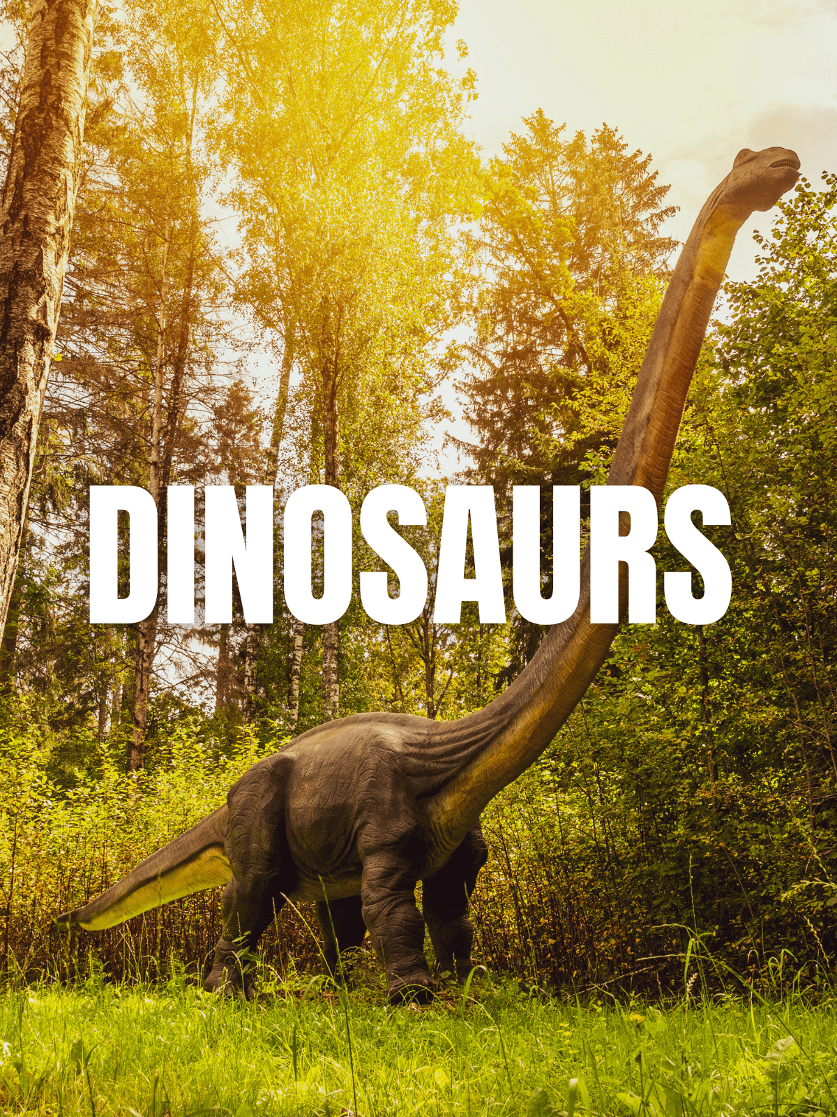 All The Answers: Dinosaurs