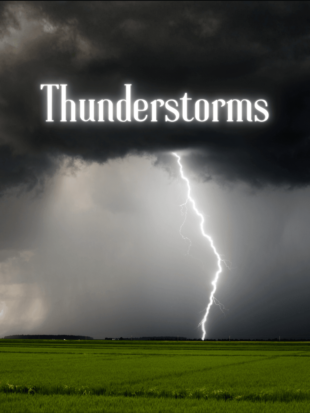 All The Answers: Thunderstorms